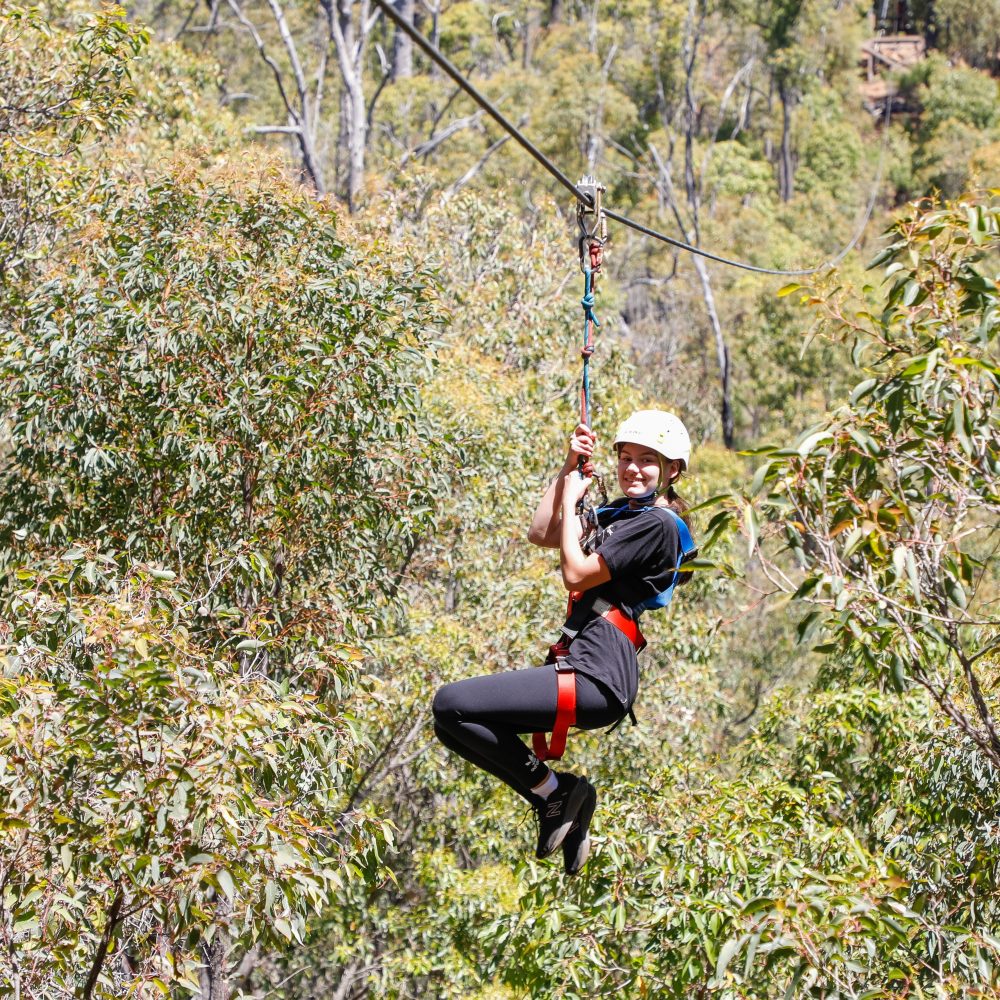 Pictured is a young girl on a flying fox suspended mid air. Surrounding her is greenery.