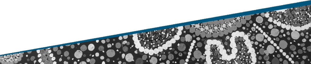 Noongar banner
